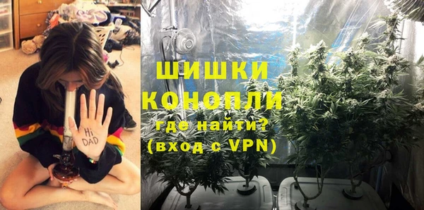 мдпв Магас