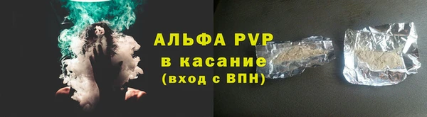 сатива Магадан